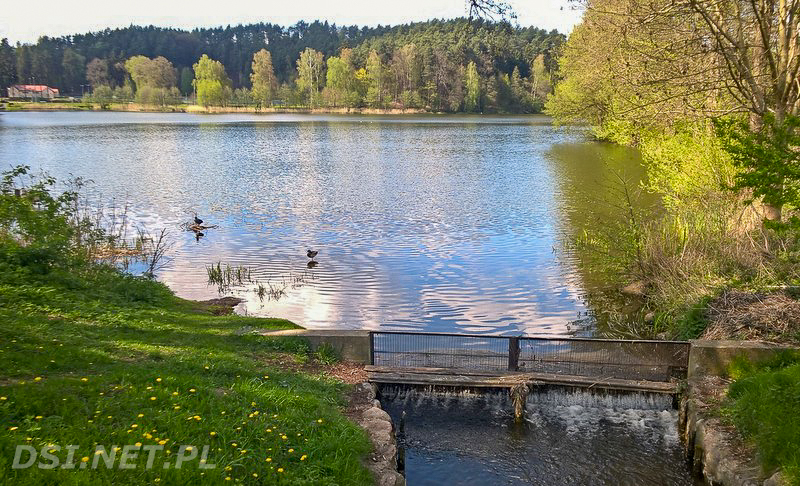 2016-05-06 Kalisz Pomorski - coraz mniej wody w jeziorach i ujęciach