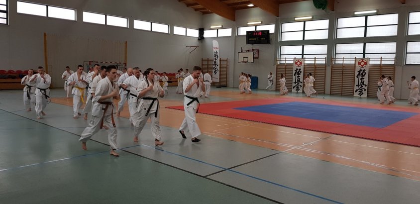 Kadrowicze MUKS OYAMA uczestniczą w Zgrupowaniu Zachodniopomorskiego Okręgowego Związku Karate. 