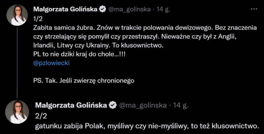 Wiceminister Małgorzata Golińska mocno o zastrzeleniu żubra na terenie Nadleśnictwa Świerczyna