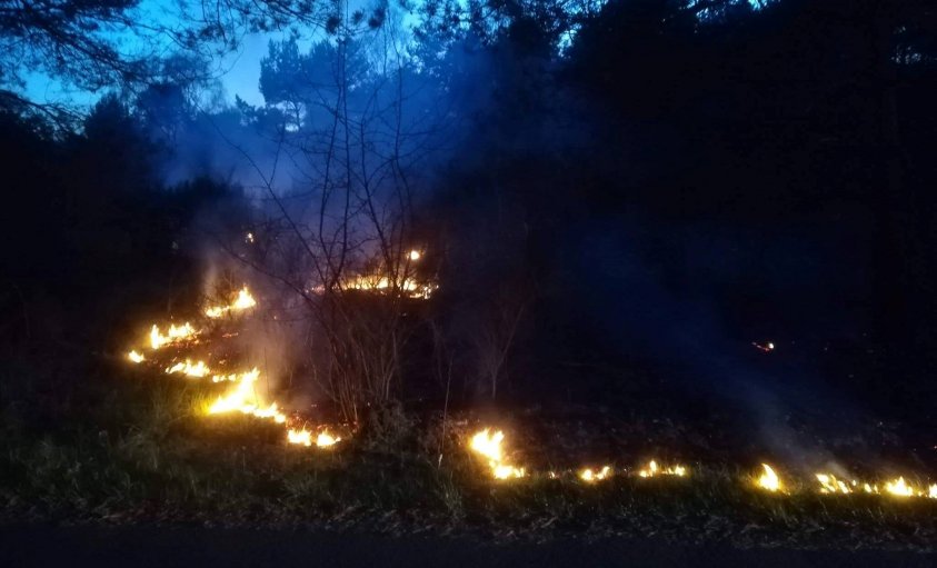 Palił się las w okolicach Broczyna