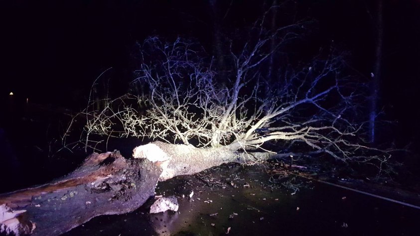 16.03.2019r. około godziny 0:08 jednostka OSP Czaplinek została zadysponowana do powalonego drzewa w okolicy miejscowości Kuszewo.