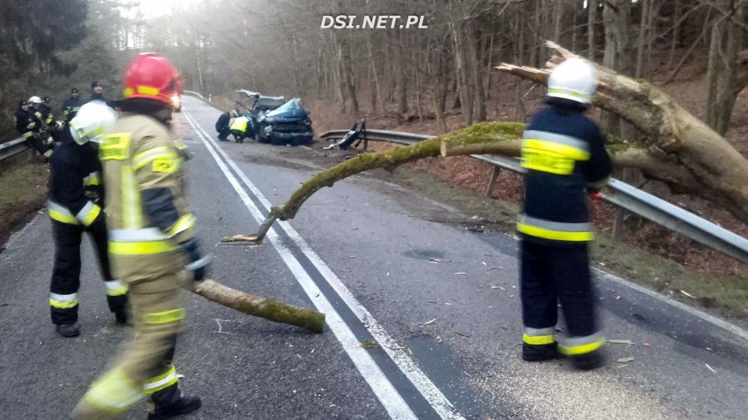 Drzewo spadło na samochód na drodze od Połczyna-Zdroju w kierunku Czaplinka