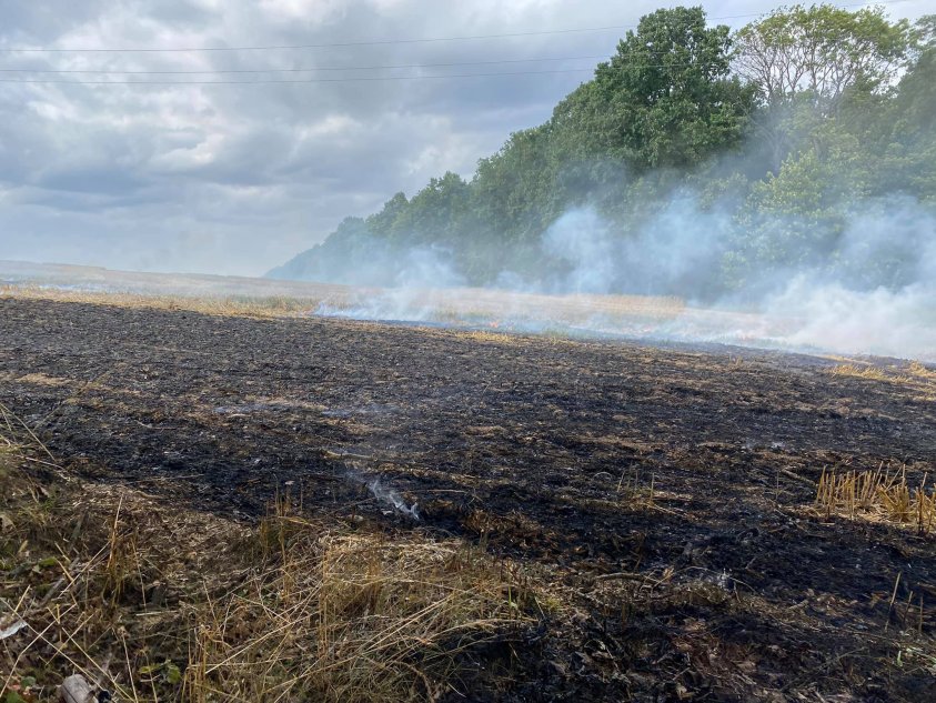 13 zastępów i rolnicy gasili dzisiaj ogromny pożar. Spłonęło 15 ha pół