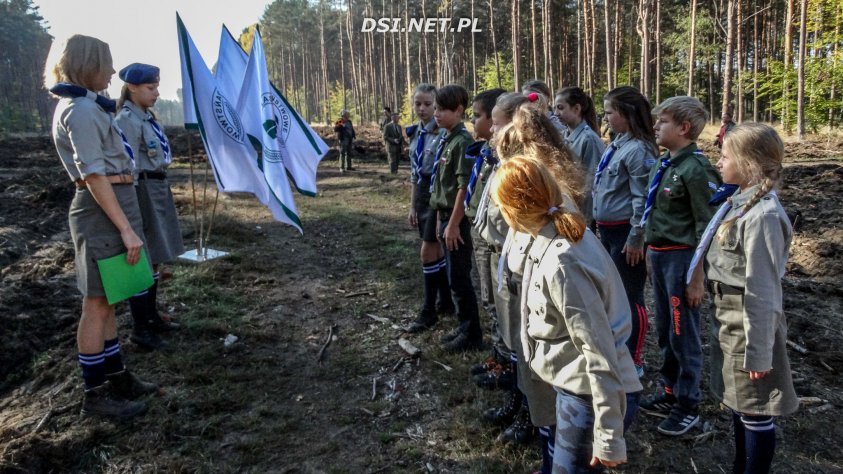 Harcerze z Pomierzyna w akcji sadzenia Dębu Wolności na 100-lecie Niepodległości