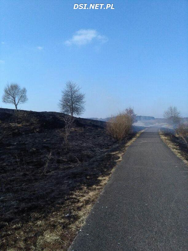 Spaliło się 15 hektarów traw pomiędzy Cieszynem i Chlebowem