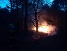 Palił się las w okolicach Broczyna
