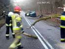 Drzewo spadło na samochód na drodze od Połczyna-Zdroju w kierunku Czaplinka