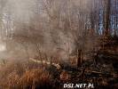 2020-04-10 Pożar lasu. Strażacy gasili pożar w ciężkich warunkach. Zdjęcia