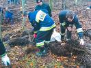 Sadzą drzewa aby pomóc. Była młodzież, strażacy oraz Julia i Natalia, dla których też sadzono las