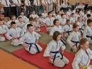 Wojewódzka Olimpiada Karate
