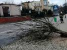 Jak orkan Barbara wiał w Złocieńcu – zdjęcia OSP