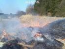 Spaliło się 15 hektarów traw pomiędzy Cieszynem i Chlebowem
