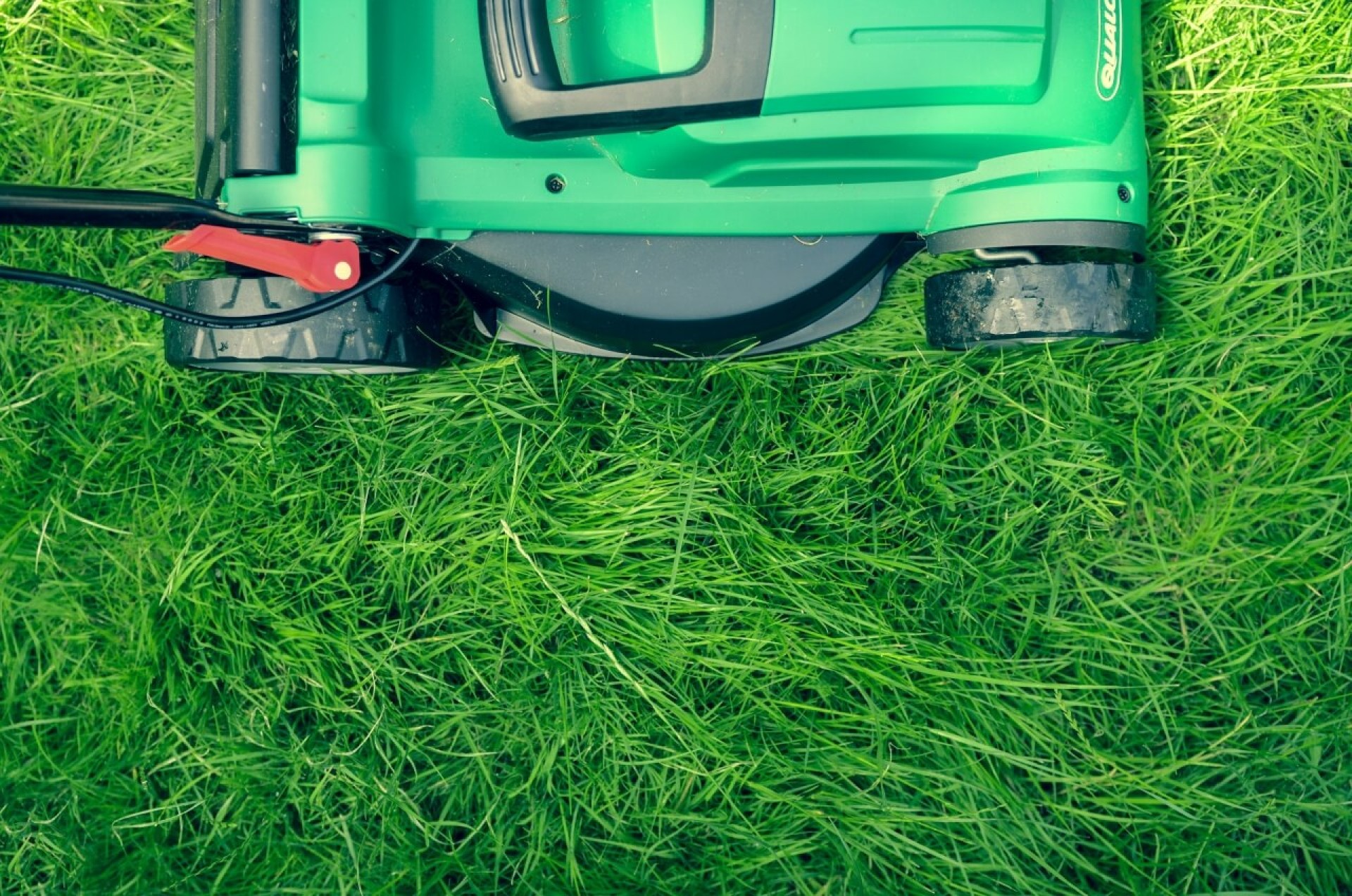 Kosiarka do trawy – jaki rodzaj możesz wybrać?