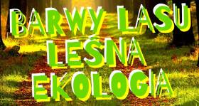 Ogólnopolski Konkurs Plastyczny „Barwy lasu-leśna ekologia” ROZSTRZYGNIĘTY